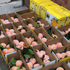 【长江边现摘奉节脐橙】超值礼盒装   树上现摘现发10斤59.9元 水分充足! 商品缩略图2
