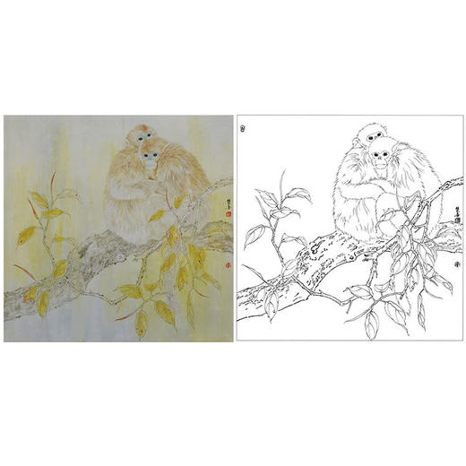 鲁双喜工笔动物白描底稿-金丝猴《秋馨》-多种白描尺寸可选-LK09 商品图0