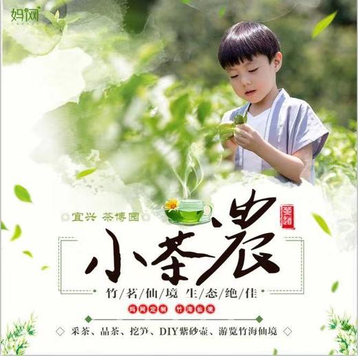 【妈网春游】  踏青节我们一起采茶、挖笋、做青团子。 商品图0