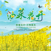 【妈网春游】3/24  千亩花田，自然风光与游乐设施应有尽有，一价游玩3大景点 即刻出行，不负春光不负你！ 商品缩略图0
