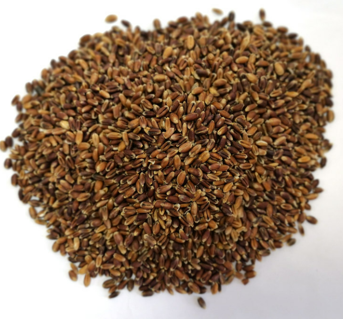 熟黑麦（5斤装）