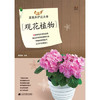  图说盆栽养护这点事 观花植物  商品缩略图0