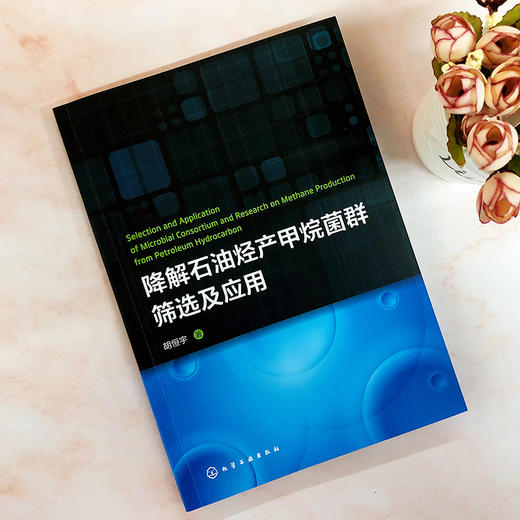 降解石油烃产甲烷菌群筛选及应用 商品图1