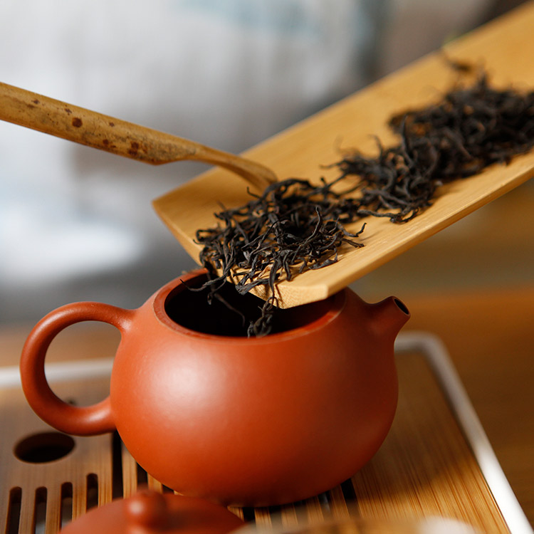 深宝茶行|非遗珍品红茶-九曲红梅