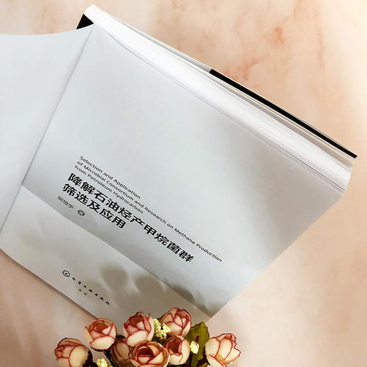 降解石油烃产甲烷菌群筛选及应用 商品图4