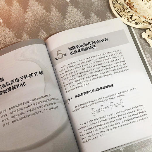 村镇有机废物堆肥及土壤利用——村镇环境综合整治与生态修复丛书 商品图3
