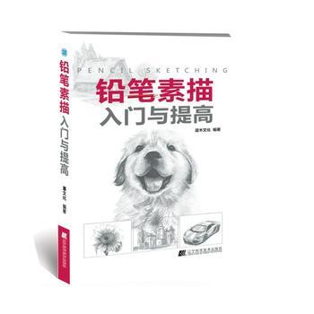  铅笔素描入门与提高  商品图0