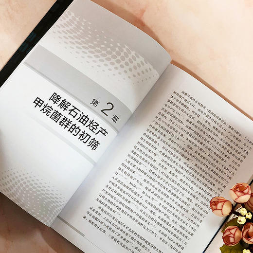 降解石油烃产甲烷菌群筛选及应用 商品图5