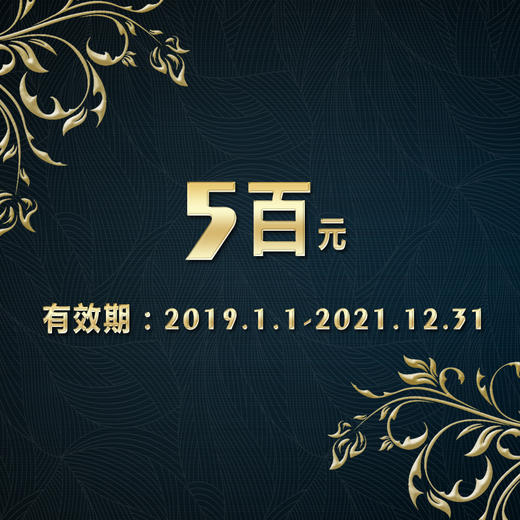 现金券500-21 商品图0