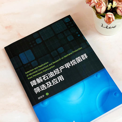 降解石油烃产甲烷菌群筛选及应用 商品图2