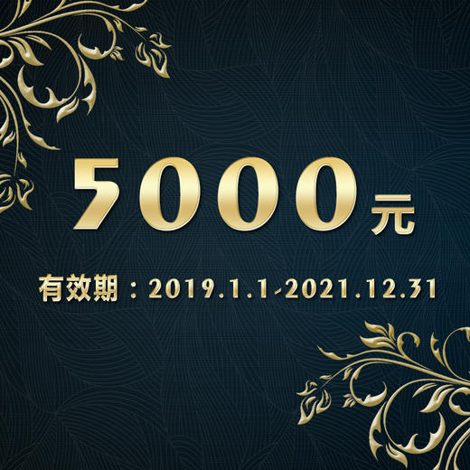 现金券5000-21 商品图0