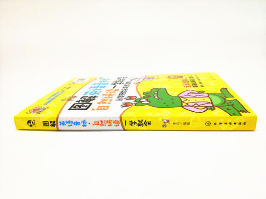 图解英语音标自然拼读一学就会（修订本） 商品图2