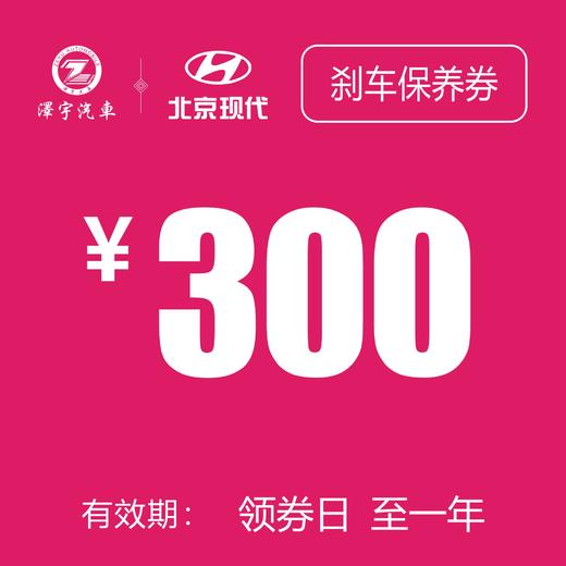 玉环泽一  刹车保养券 商品图0