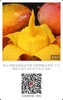 购物车测试 商品缩略图0