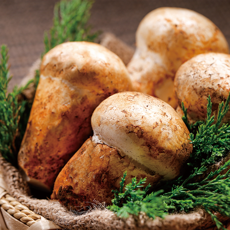 天野园·松茸100g