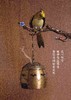 齐眉共舞盘香音乐机 商品缩略图1