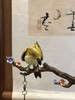 齐眉共舞盘香音乐机 商品缩略图4