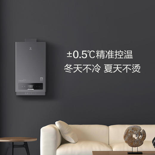 VIOMI/云米 JSQ30 -VGW162燃气热水器16L升 家用天然气恒温强排式 商品图1