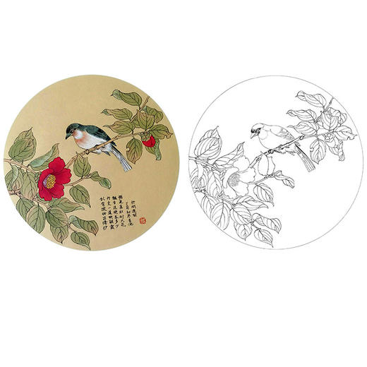 戴青池工笔花鸟小品白描底稿-多种白描尺寸可选-DQ04 商品图0