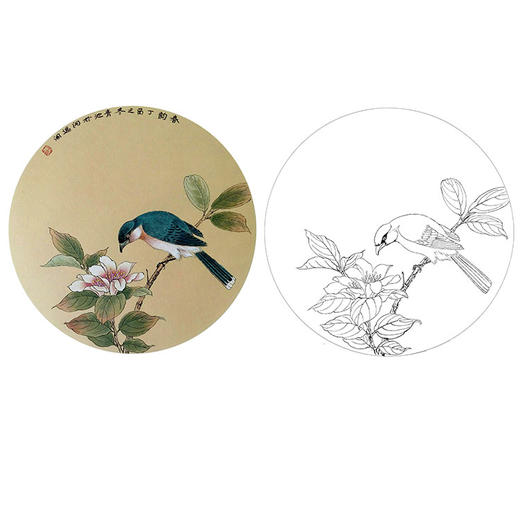 戴青池工笔花鸟小品白描底稿-多种白描尺寸可选-DQ05 商品图0