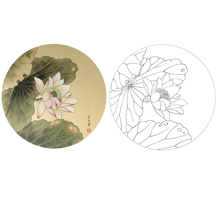 戴青池工笔花鸟白描底稿-荷花小品-多种白描尺寸可选-DQ06