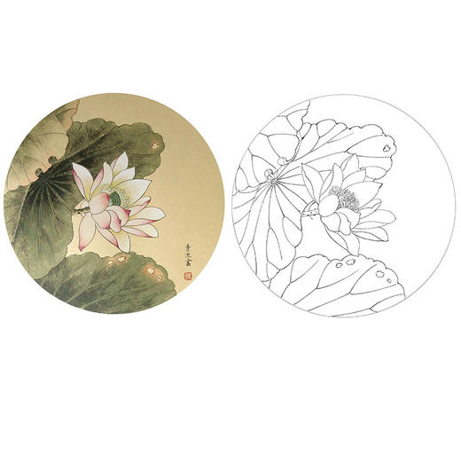 戴青池工笔花鸟白描底稿-荷花小品-多种白描尺寸可选-DQ06 商品图0