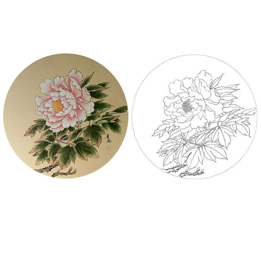 戴青池工笔花鸟白描底稿-牡丹小品-多种白描尺寸可选-DQ08 商品图0