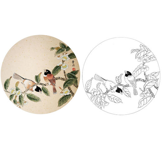 戴青池工笔花鸟小品白描底稿-多种白描尺寸可选-DQ02 商品图0