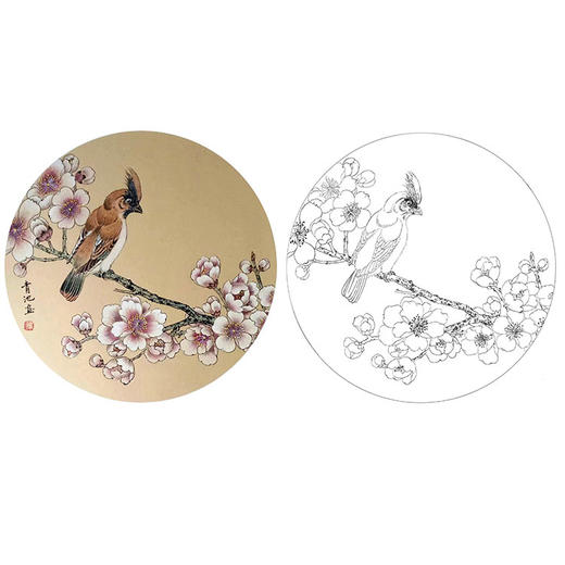 戴青池工笔花鸟小品白描底稿-多种白描尺寸可选-DQ31 商品图0