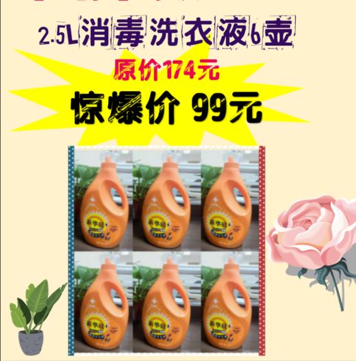 2.5L消毒洗衣液6壶 商品图0