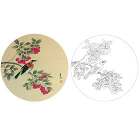 戴青池工笔花鸟小品白描底稿-多种白描尺寸可选-DQ12