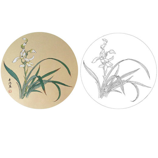 戴青池工笔花鸟白描底稿-兰花小品-多种白描尺寸可选-DQ09 商品图0
