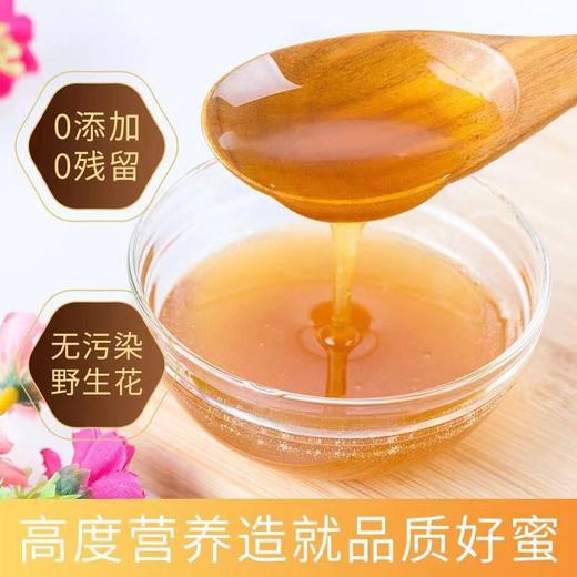 【买200g发380g大瓶装】蜜境藏蜜野生百花蜜海拔3000米+高原产地10天以上自然成熟可下火，祛痘 商品图0