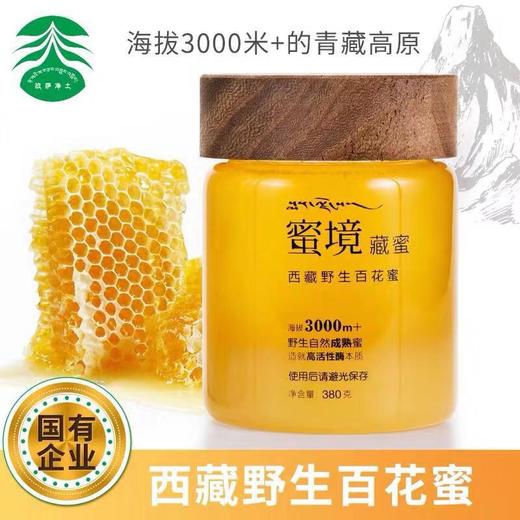 【买200g发380g大瓶装】蜜境藏蜜野生百花蜜海拔3000米+高原产地10天以上自然成熟可下火，祛痘 商品图2