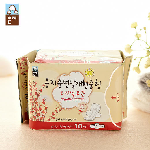 恩芝卫生巾纯棉日用250MM 10P （608010） 商品图2