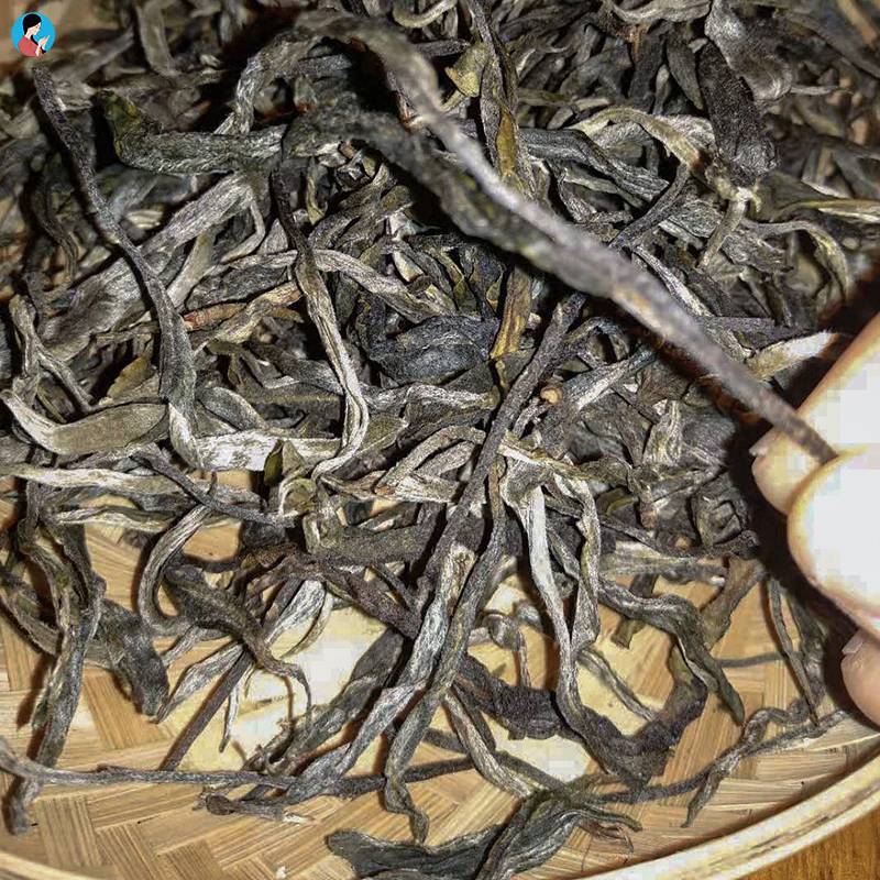 【限时9折,买5送1,春茶预售】2019年《落水洞》古树春茶 普洱纯料
