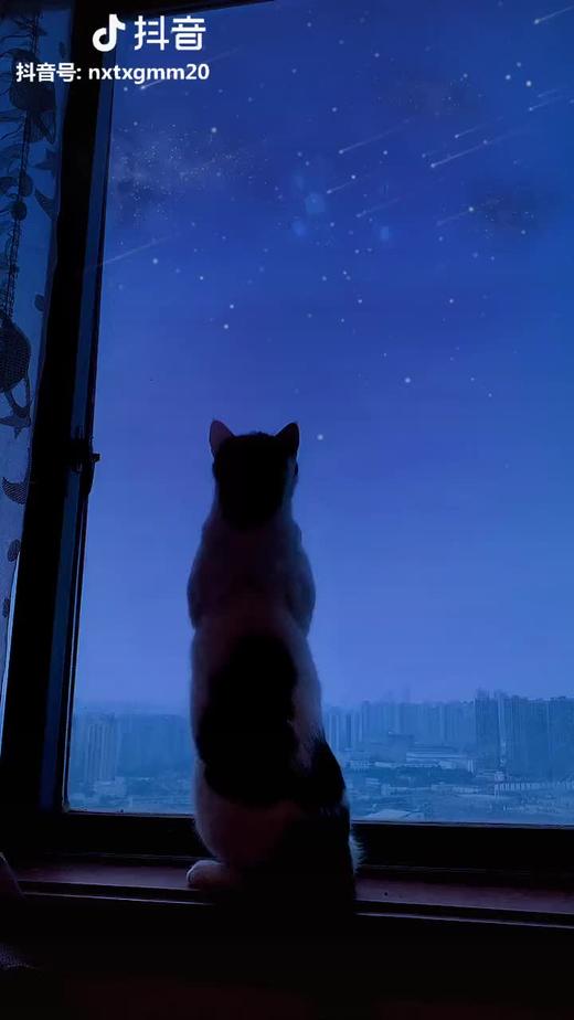 111111 商品图0