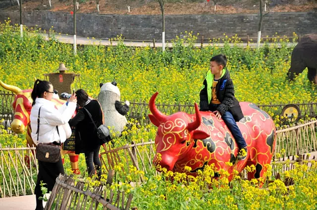 【邛崃·田园乐翻天】29.9元打卡网红油菜花节,玩各种