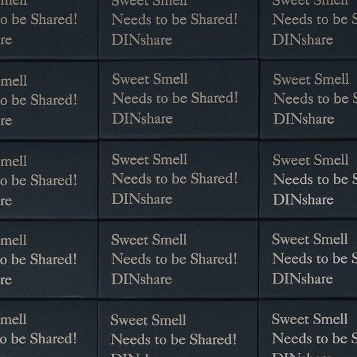 DINshare 香薰蜡烛专用长木黑头火柴 商品图2
