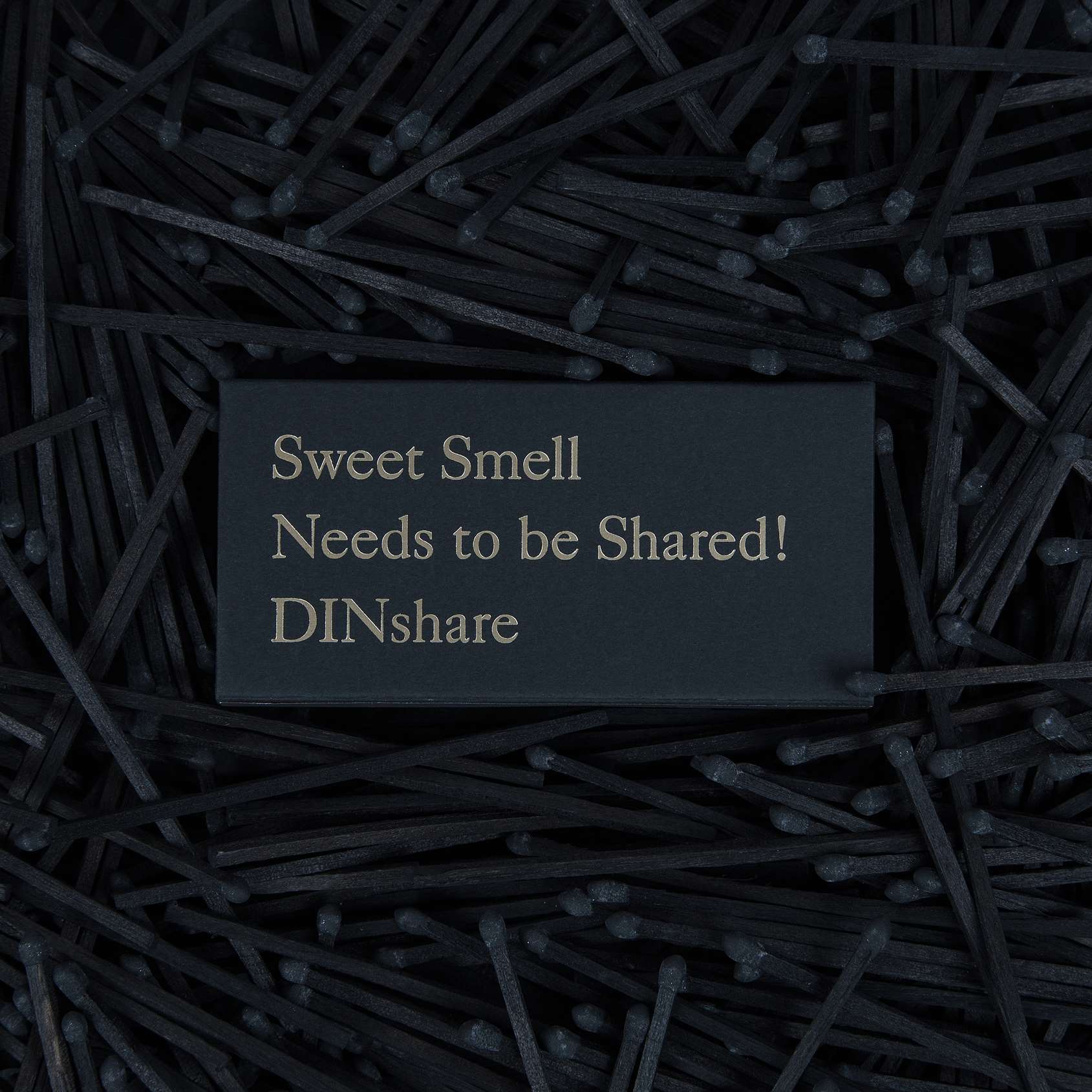 DINshare 香薰蜡烛专用长木黑头火柴