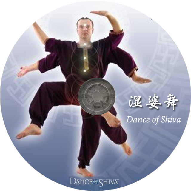 寰宇瑜伽andrey lappa:dance of shiva 瑜伽dvd