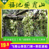 清远 | 3月8日女神节门票+渡船低至19.9元~福地飞霞山邀您来看禾雀花了！赏花+祈福+踏青一次搞定！ 商品缩略图0