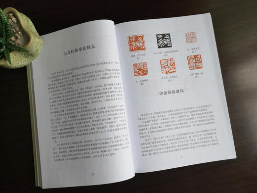 篆刻技法百讲丛书四本，可任意搭配购买！ 商品图5