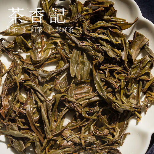 茶香记 凤凰单丛 橙花香 吴玲出品 凤凰山凤溪 醇和鲜爽 香气入水 性价比高 商品图4
