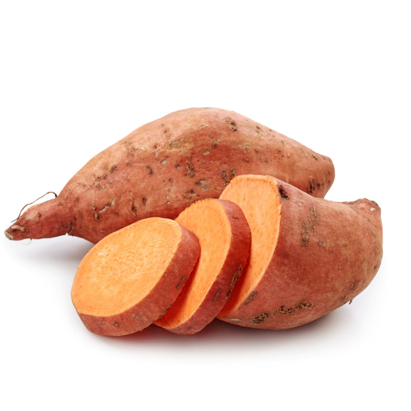 福建漳州六鳌红薯