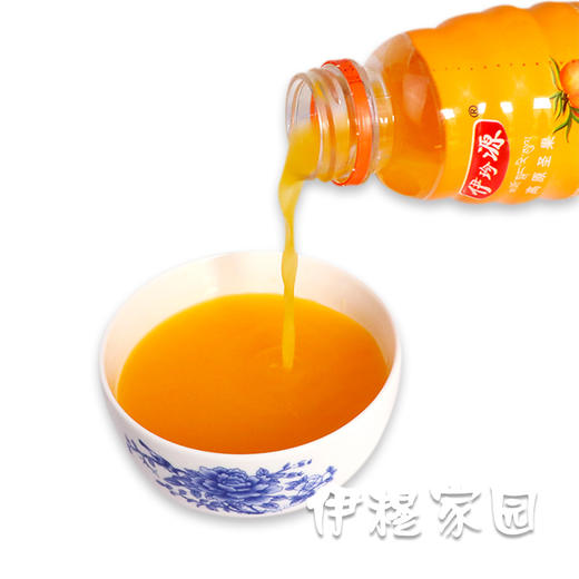 伊珍源 甘南老沙棘汁1瓶 商品图1