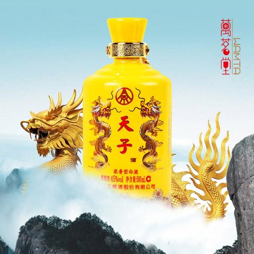 45度天子双龙酒（绵柔典藏版） 浓香型白酒 500ml（单瓶装） 商品图2