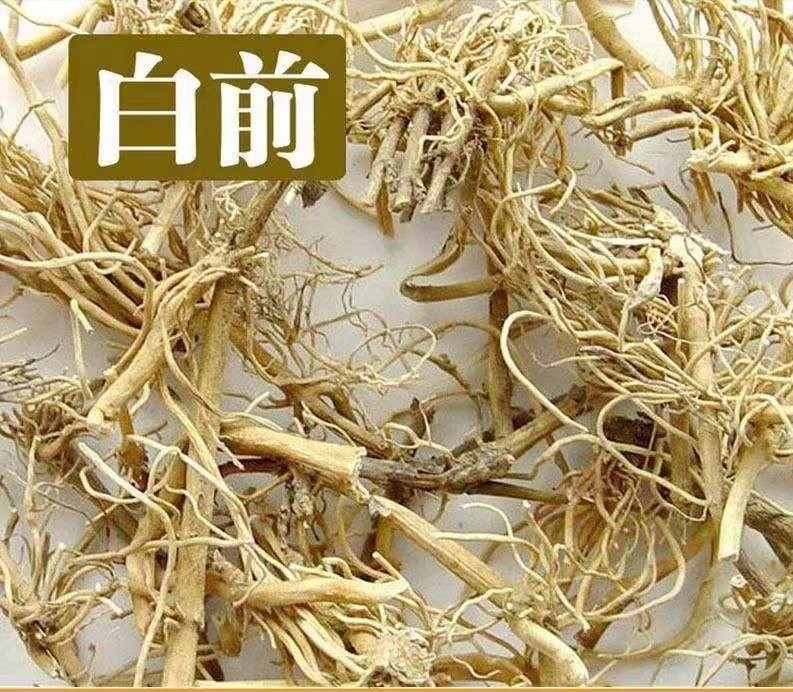 白前草药种子