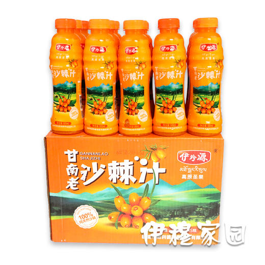 伊珍源 甘南老沙棘汁1瓶 商品图2