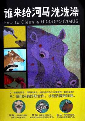 谁来给河马洗洗澡